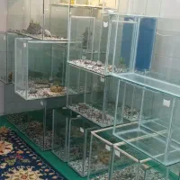 اکواریم بزرگ و کوچک