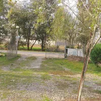 اجاره باغ رستوران وکافه