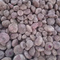 چغندر لبو|خوردنی و آشامیدنی|دشتابی, |دیوار