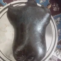 یک عدد هیزه فروشی سالم|صنایع دستی و سایر لوازم تزئینی|پاپی, |دیوار