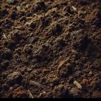 زمین 127متری مبارک اباد