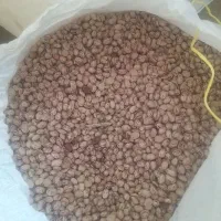 لوبیا چیتی|خوردنی و آشامیدنی|زنده رود, |دیوار