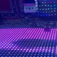 دیجی بانوان