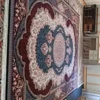 فرش ۱۲متری نو نگین مشهد ۷۰۰شانه|فرش|دزفول, |دیوار
