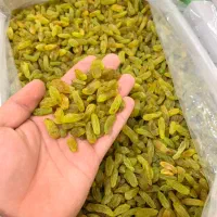 کشمش سبز درجه یک عّلا با بهترین کیفیت