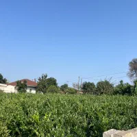 309 متر زمین فروش قاسم اباد سفلی چابکسر|فروش زمین و ملک کلنگی|چابکسر, |دیوار