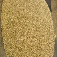 جو دو سر فوری،دانه چیا،کینوا،روغن زیتون،انواع روغن|خوردنی و آشامیدنی|ری, فیروزآبادی|دیوار