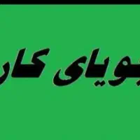 خانم هستم جویای کار