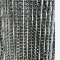 رابتیس(راویز ساختمانی