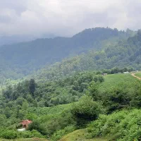 کسب درامد از گوشی