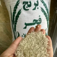 برنجمحلیدمسیاهوفجرسوزنی۹۰روزه|خوردنی و آشامیدنی|گنبد کاووس, |دیوار