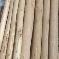 خرید چوب سقفی برشکاری درختان از باغچه وحیاط