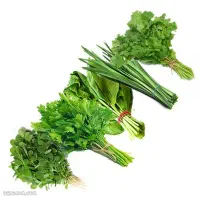 کار در منزل