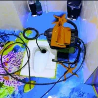 چاه بازکن فنرزدن هاشمیه صارمی پیروزی فکوری هنرستان|خدمات پیشه و مهارت|مشهد, سرافرازان|دیوار