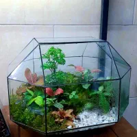 تراریوم پالوداریوم موساریوم عمده|گل و گیاه طبیعی|اصفهان, آبشار|دیوار