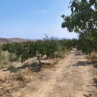 زمین کشاورزی 1400متری فنس کشی|فروش دفتر صنعتی، کشاورزی، تجاری|اصفهان, مرداویج|دیوار