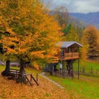 زمین-220متری-زیرسازی-و-سقف