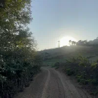 کارگر دامداری