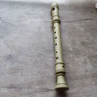 فلوت