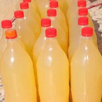 سرکه سیب|خوردنی و آشامیدنی|زاغه, |دیوار