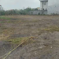 فروش زمین دربابل|فروش زمین و ملک کلنگی|زرگرشهر, |دیوار