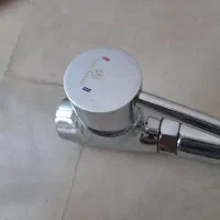 فروش شیر دو قلو و تک