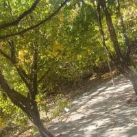 خانه باغ|فروش خانه و ویلا|درب بهشت, |دیوار