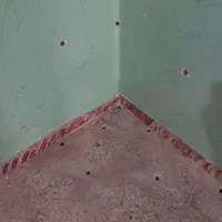 موریانه‌زدایی و سم‌پاشی جانوران‌ موذی (تضمینی)|خدمات نظافت|دزفول, |دیوار