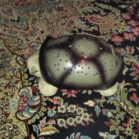 چراغ خواب بچه گانه