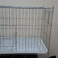 قفس پرنده