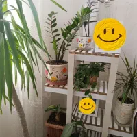 استند چوبی
