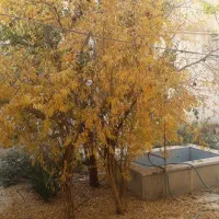 اجاره-دو-طبقه-دربست-جهت-شرکتها-اموزشگاهها-و