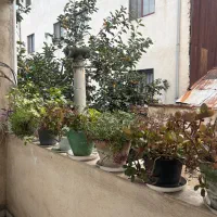 اجاره اپارتمان ۷۰متری در رشت|اجارهٔ آپارتمان|رشت, کوی جام جم|دیوار