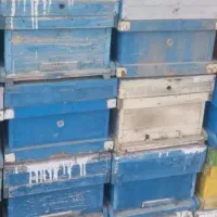 کندو خالی زنبور