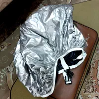 سنتور موسوی حرفه ای و خاص|سازهای سنتی|قم, شهرک شهرداری|دیوار