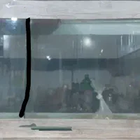 ۲ عدد اکواریم