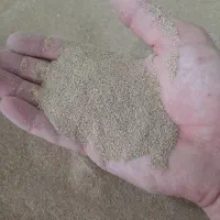 کود میلورم
