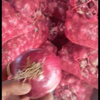 پیاز قرمز درجه یک