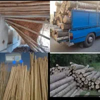 خریدار انواع چوب  تر و خشک  تخریب  ساختمان