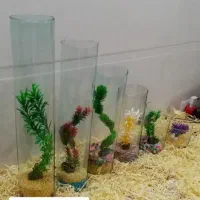 ماهی قرمز عمده خرده|ماهی|اردبیل, |دیوار