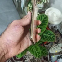 ایفون xs حافظه ۲۵۶|موبایل|تهران, مینای جنوبی|دیوار