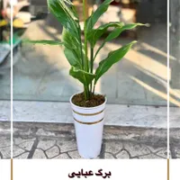 گل و گلدان مصنوعی خارجی|گل مصنوعی|تهران, شهرک ولیعصر|دیوار