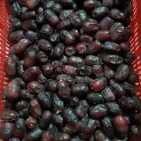 فروش خرمای درجه 1و2