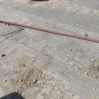 کفتر رنگ، آلمانی، دسته تور