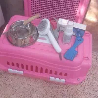 لوازم مصرفی  پت