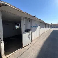 کانکس فرهنگی