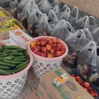 پک پذیرایی ختم ترحیم،میوه،دفاعیه،جعبه،بسته|خدمات پذیرایی، مراسم|تهران, نظامی گنجوی (توانیر)|دیوار