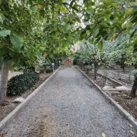 زمین-500متری-اول-شاندیز