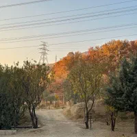 145 متر 3 خواب آپارتمان در برج شهرک نفت کوهسار|اجارهٔ آپارتمان|تهران, شهران شمالی|دیوار