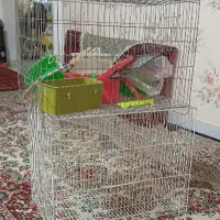 قفس پرنده